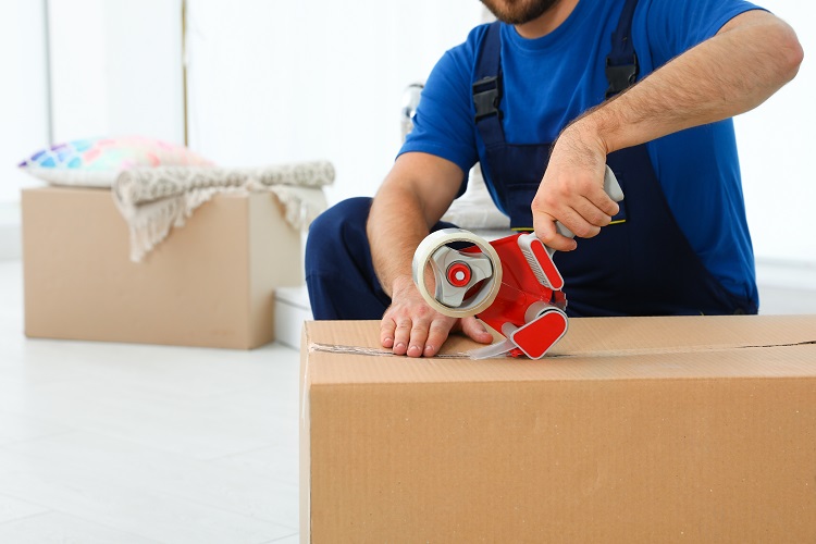 Young worker packing box in room