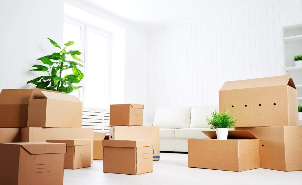 Boxes, plants, and a sofa in the living room 