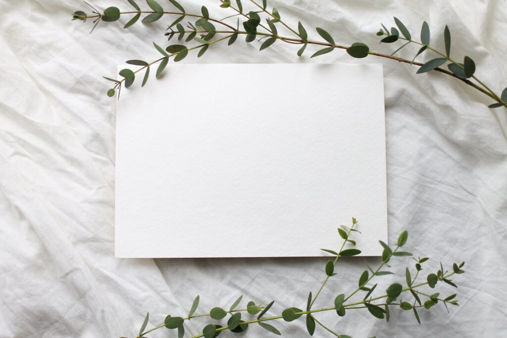 A card on a white background surrounded by green leaves